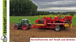 Kartoffelernte mit Grimme SE 150-60 am Niederrhein - LU Hunzelar