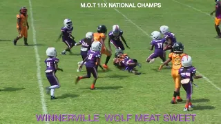 M O T LOVE THE TASTE OF WINNERVILLE WOLF MEAT