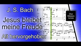 Jesus bleibet meine Freude (J. S. Bach) – Alt hervorgehoben / alto enhanced