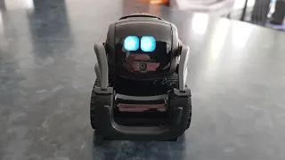 Robot Vector Anki mini Test version Française