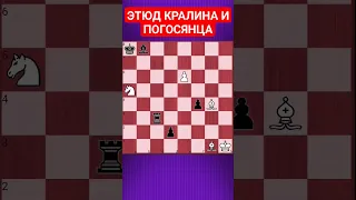 💥ТУТ ДАЖЕ ГРОСС МОЗГ СЛОМАЕТ #chesspuzzle #шахматныезадачи #шахматы #chess