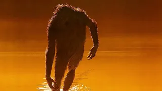 The Legend of Boggy Creek - Lonely Cry