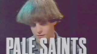 Pale Saints - Interview & Time Thief video on 120 Minutes, MTV, 1990.