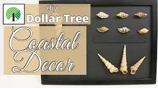 DOLLAR TREE diy Coastal Decor | Seashell Display