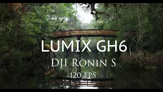 Lumix GH6 + Gimbal +120fps