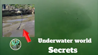 fishing SECRETS (Underwater world) #carpfishing #fishing #angling #coarsefishing #tightlines