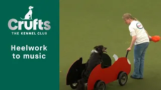 Heelwork To Music - Freestyle International Competition Part 2 | Crufts 2023