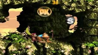 Donkey Kong Country 3 105% | Part 44 (Criss Kross Cliffs)