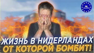 Меня просто бомбит! Жизнь в Нидерландах не для слабонервных! 😡 NL Kuleshovi