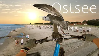 Ostsee Urlaub 2020 - Graal Müritz | Rose the BRUCE 2 | Cinematic Vlog| GoPro HERO 8 | Maximal Biker