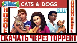 Где скачать The Sims 4: Cats & Dogs на PC через торрент | Полная версия
