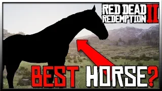 Red Dead Redemption 2 Best Horse and It's Not The Rose Grey Bay Arabian! Red Dead 2 Horses