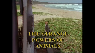 Arthur C. Clarke's Mysterious Universe - Ep. 19 - The Strange Powers of Animals
