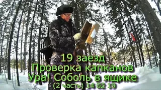 19 заезд Проверка капканов Ура! Соболь в ящике (2 часть) 14 02 19