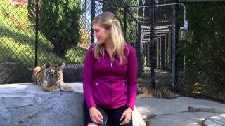 The Cutest Tiger Bite...