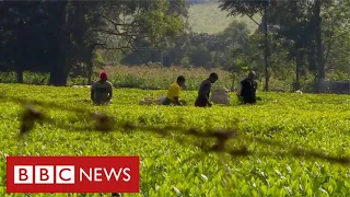 Kenya’s colonial inequalities continue, decades after independence  - BBC News