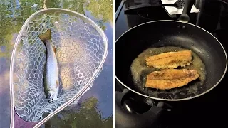 Brook Trout CATCH and COOK