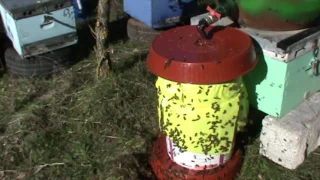 Κατασκευή ποτίστρας μελισσών με βετέξ