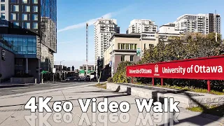 University of Ottawa Canada 4K Campus Walk Tour | November 2021