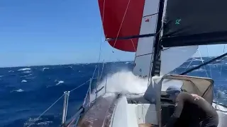 And then they ask me why sailing is the best sport in the world🤣😅🤷‍♂️