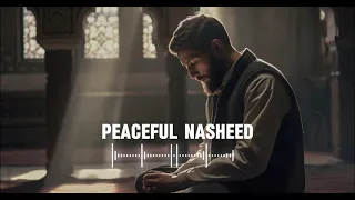 3 Soul healing Nasheeds🤍 _|_ Arabic Nasheed 2024 _|_  Muhammad Al Muqit _|_ no music