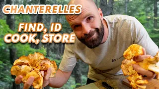 How To Find and Cook CHANTERELLES