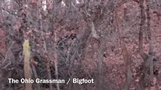 A Bigfoot sighting at Salt Fork Lake in Ohio.