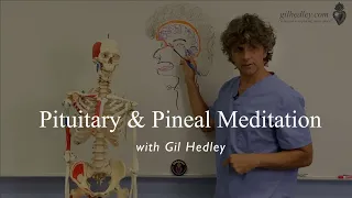 Pituitary & Pineal Gland: An Anatomical Meditation, with Gil Hedley
