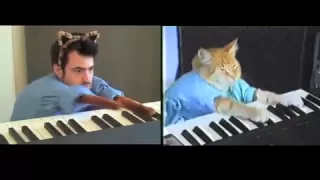 Keyboard Cat vs. Ron Livingston