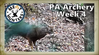 The Rut is On in PA | PA Archery Week 4