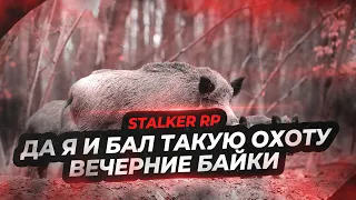 ● ДА Я И БАЛ ТАКУЮ ОХОТУ ● ВЕЧЕРНИЕ БАЙКИ У КОСТРА ● STALKER RP ● Call Of The Zone ●