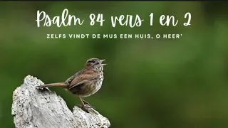 Psalm 84 vers 1 en 2 - Zelfs vindt de mus een huis, o HEER