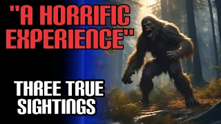 Three Disturbing Bigfoot Encounter Stories - Plus GPS Coordinates