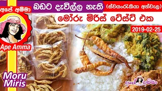 ✔ බඩට දැව්ල්ල නැති මෝරු මිරිස් ටේස්ට් එක (ස්වයංරැකියා අත්වැල)  Moru Miris by Apé Amma