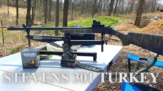 Stevens 301 Turkey 20 Gauge Review (Pattern Testing with Federal TSS)