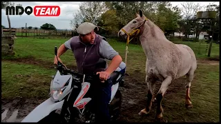 VIDA CAMPESTRE - ASI PASAN LOS ACCIDENTES