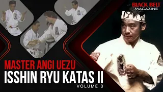 Isshin Ryu Katas II (Vol 3) With Master Angi Uezu | BlackBelt Magazine