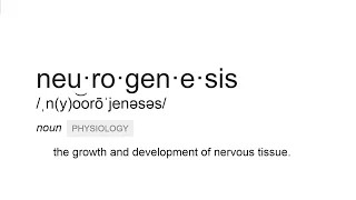 What is neurogenesis?