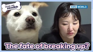 This dog was just born this way...😥 [Dogs are incredible : EP.172-2] | KBS WORLD TV 230530