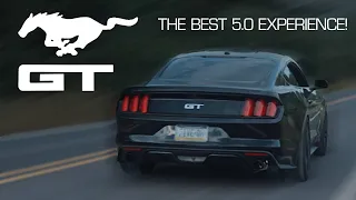 Mustang GT Universal Valved Muffler Sound Demonstration