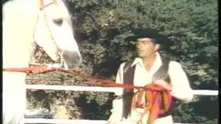 DEAN MARTIN & His Rare Andalusian Horses - Beautiful!