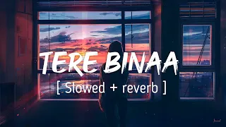 TERE BINAA ( Slowed + reverb ) - Heropanti || Mustafa Zahid || EARGASM
