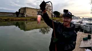 On ne s'attendait pas à trouver autant de choses sous ce ponton !