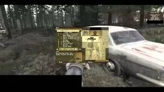 DayZ Shootout