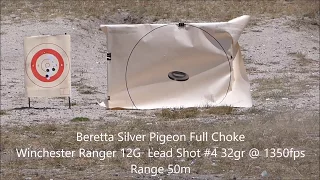 Extreme Shotgun Patterning for Foxes with Beretta Silver Pigeon and Shotkam 27/01/2017