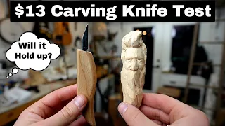 $13 Carving Knife Test--Will it Become My New Favorite Knife?