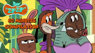 Zip Zip *Sam the boar (dressed like a cat)* Compilation 80min HD [Official] Cartoon for kids