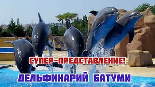 СУПЕР- ШОУ ДЕЛЬФИНОВ! / БАТУМСКИЙ ДЕЛЬФИНАРИЙ / Batumi Dolphinarium/ ВЕЧЕРНЯЯ НАБЕРЕЖНАЯ