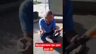 Абоси Гарми дуом дод ё исна шавем е усна 🤣🤲🤲🤲