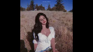 [FREE] Lana Del Rey x Indie Rock Type Beat - "Heaven"